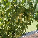 Sol E Mar Private Pool & Jacuzzi