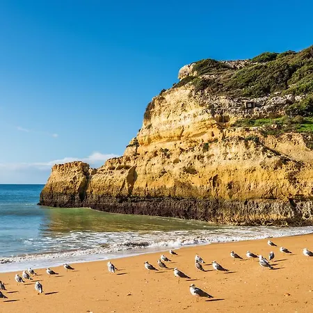 Sol E Mar Private Pool & Jacuzzi ヴィラ *