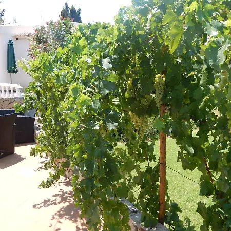 Sol E Mar Private Pool & Jacuzzi