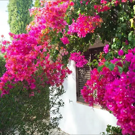 Villa Sol E Mar Private Pool & Gardens