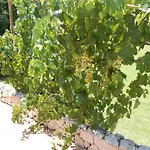 Sol E Mar Private Pool & Jacuzzi Βίλα