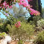 Sol E Mar Private Pool & Jacuzzi * Portimão