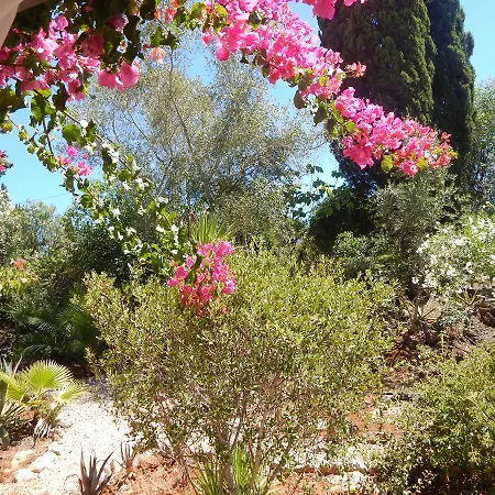 Sol E Mar Private Pool & Jacuzzi * Portimão