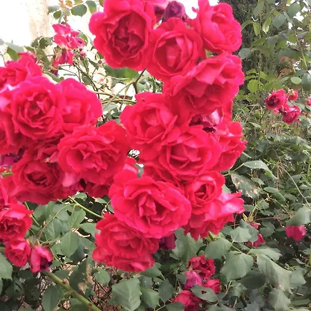 Sol E Mar Private Pool & Jacuzzi *